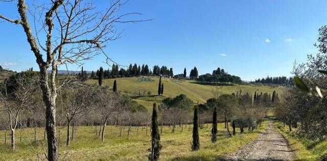 Le Mortinete - Azienda Agricola — foto 8